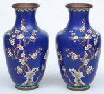 Par de vasos balaústres em cloisoné  japonês, esmaltado com cerejeira, flor e pássaro sobre fundo azul. Alt.: 40cm.